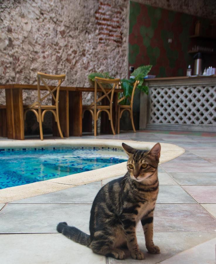 Casa Zahri Boutique Hostel Cartagena Exteriér fotografie